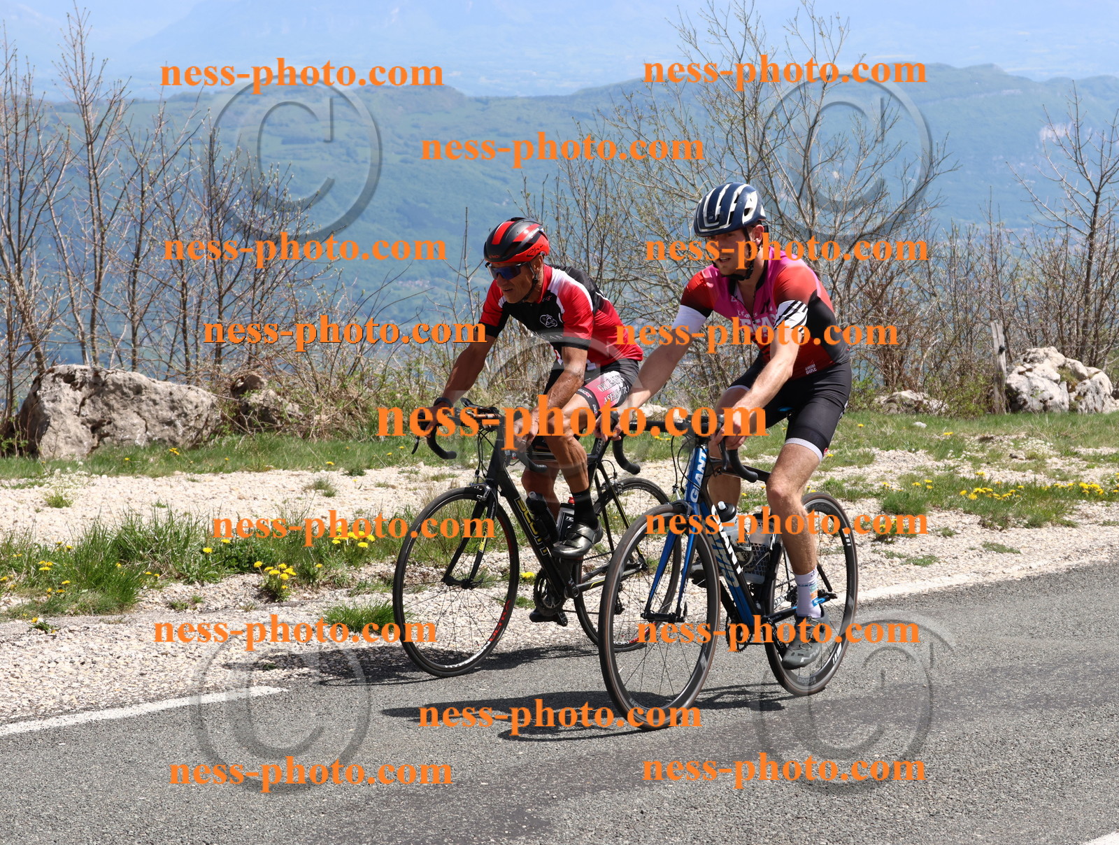 Col du Grand Colombier (902).JPG