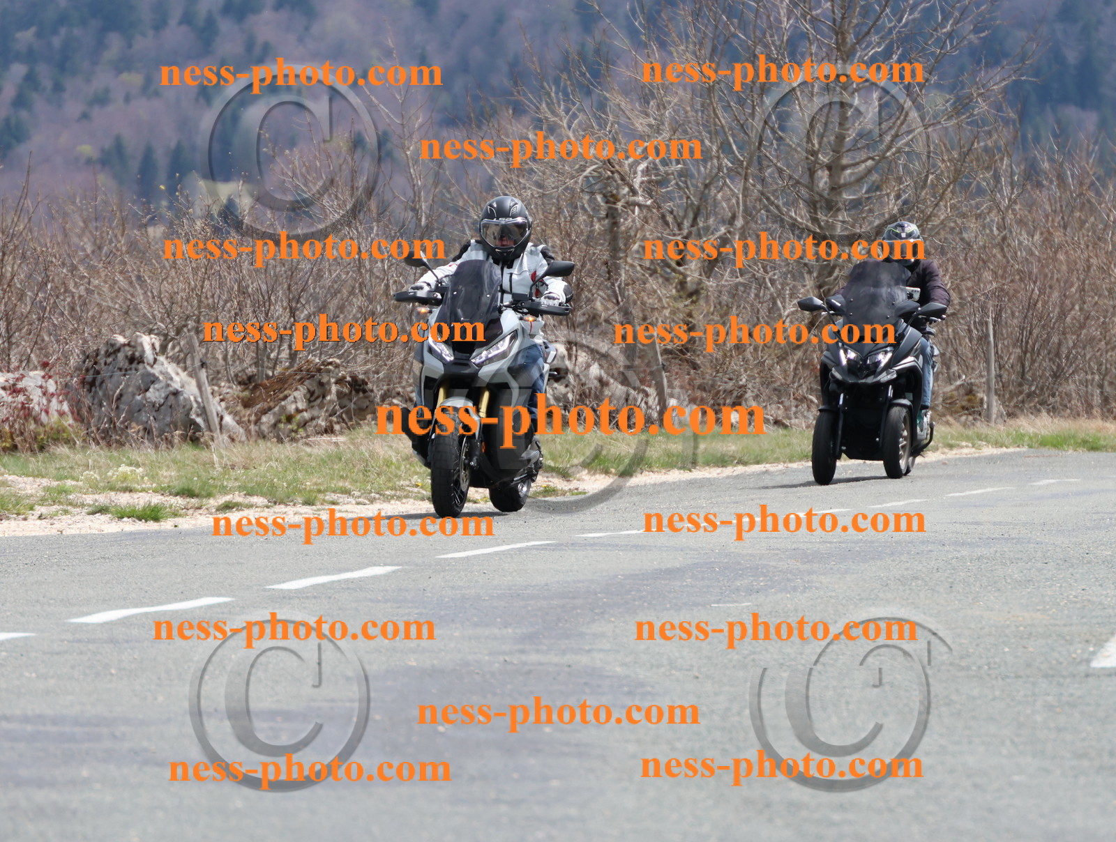 Col  du Grand Colombier (66).JPG