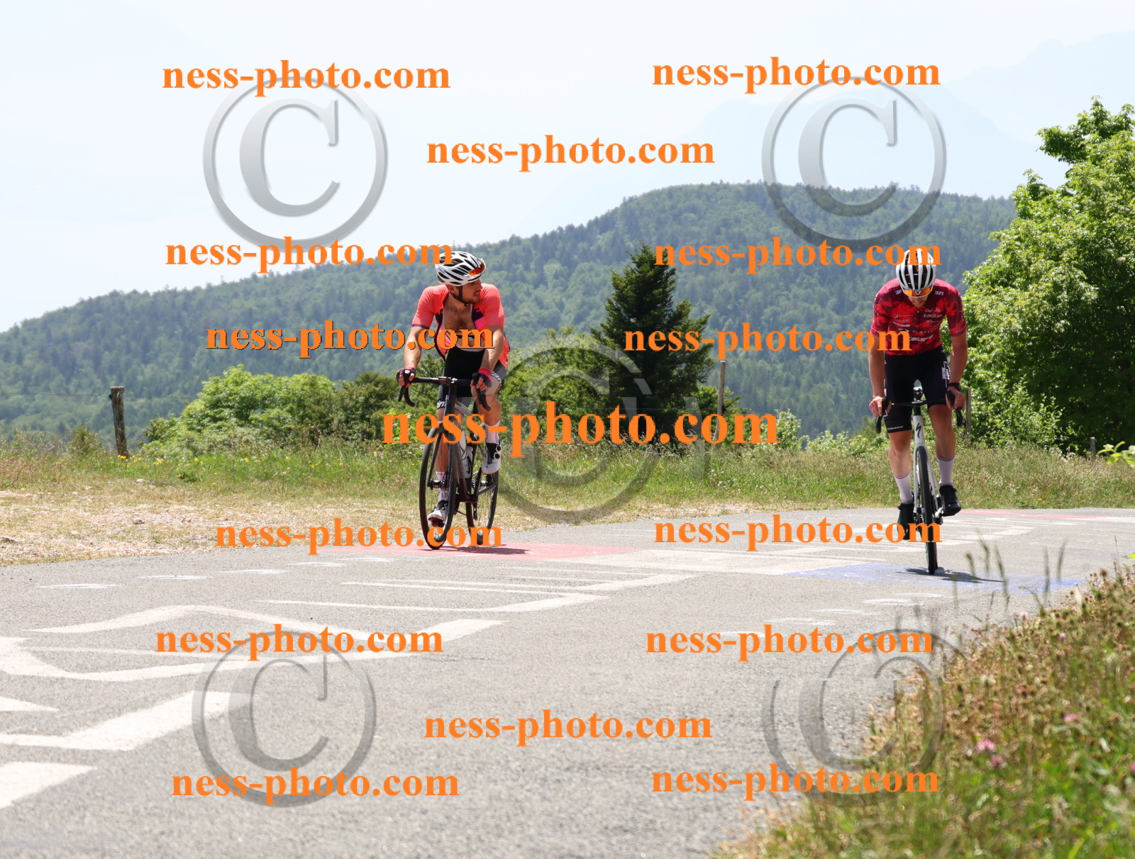 Col du grand Colombier (2759).JPG