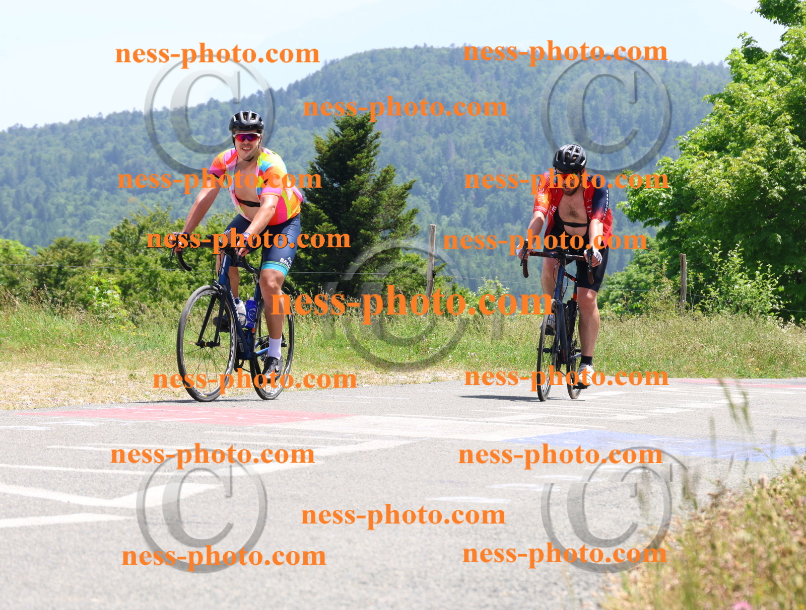 Col du grand Colombier (3226).JPG