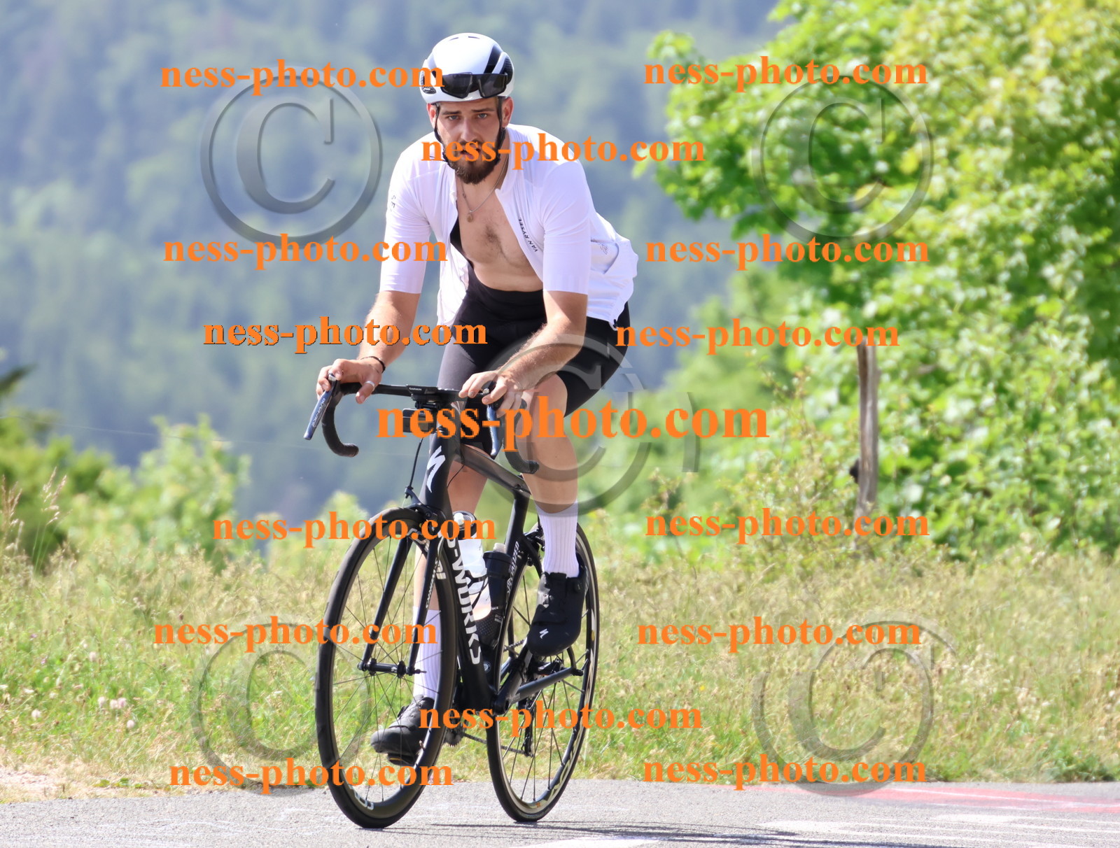 Col du grand Colombier (1073).JPG