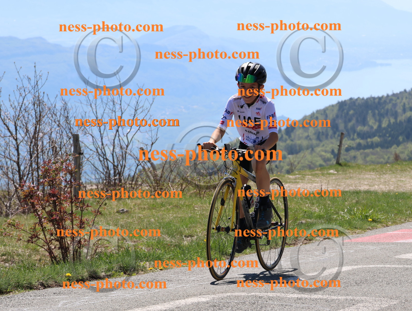 Col du Grand Colombier (327).JPG