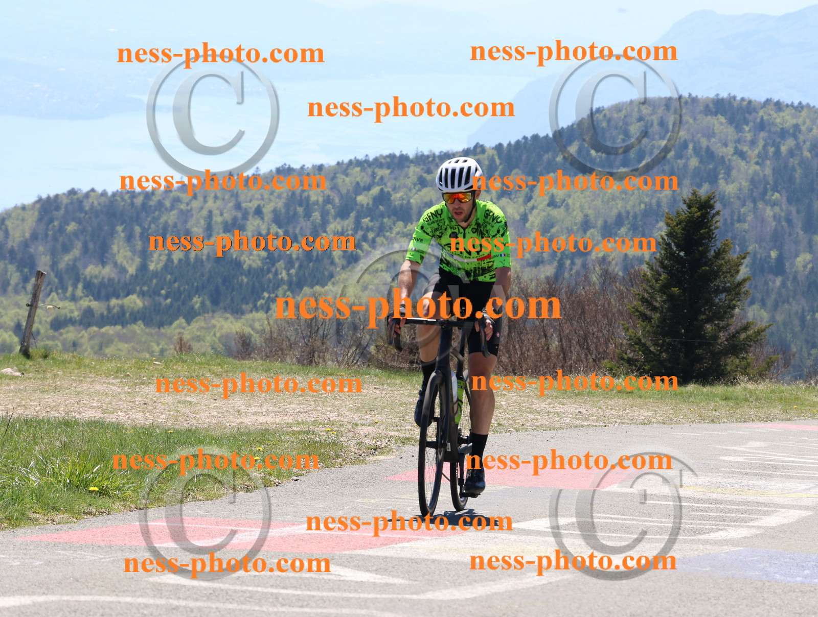 Col du Grand Colombier (478).JPG