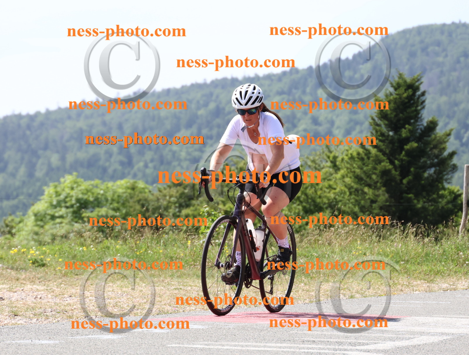 Col du grand Colombier (1368).JPG