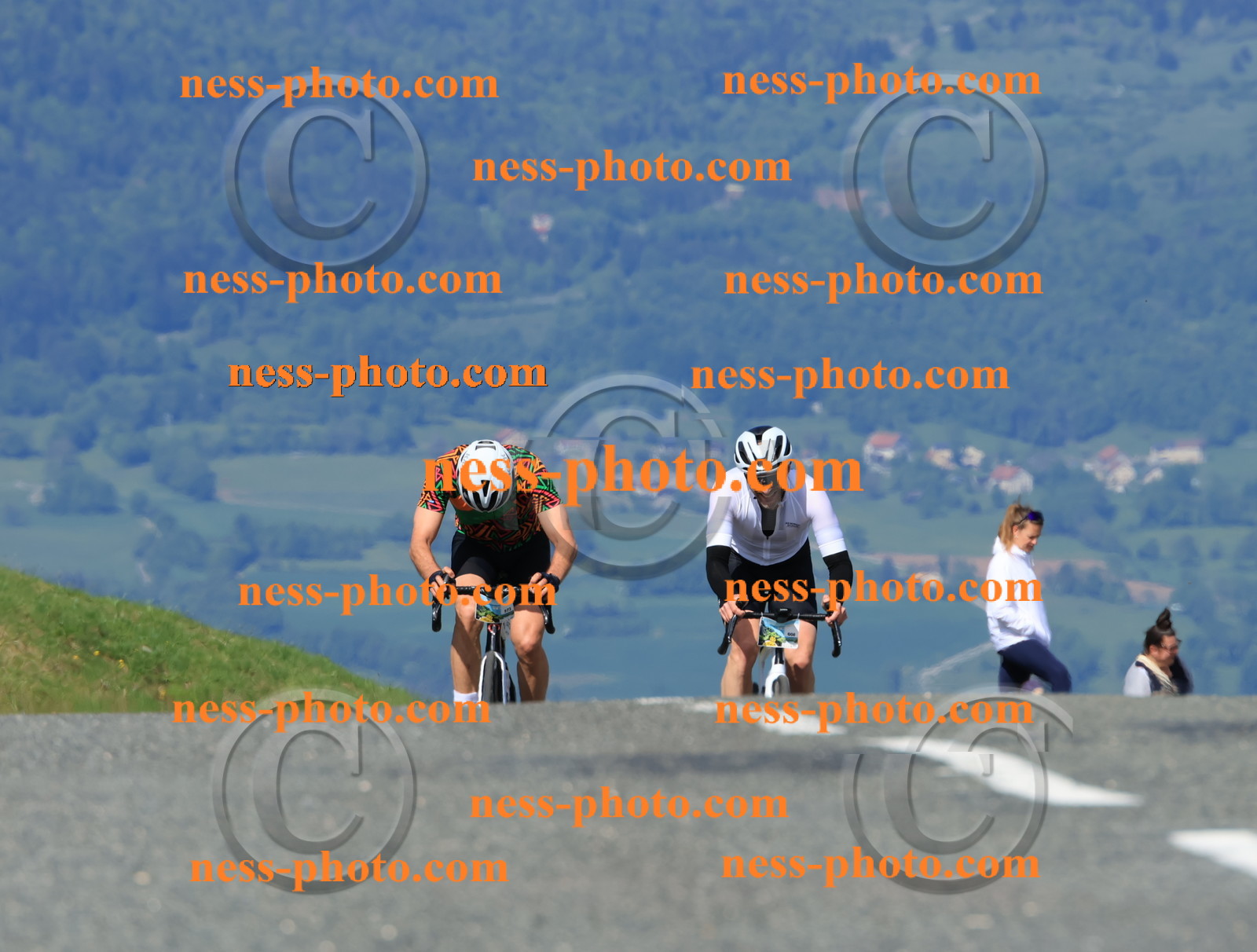 Col du Grand Colombier (184).JPG