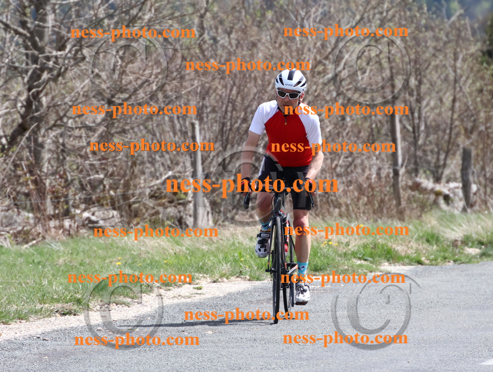 Col du Grand Colombier (975).JPG