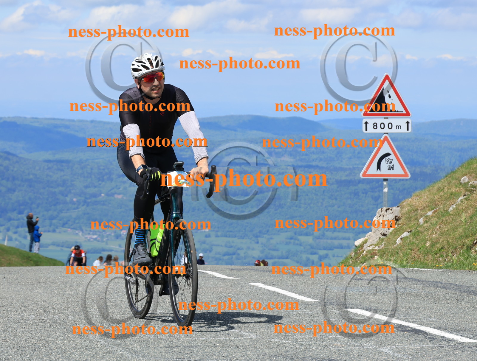 Col du Grand Colombier (1241).JPG