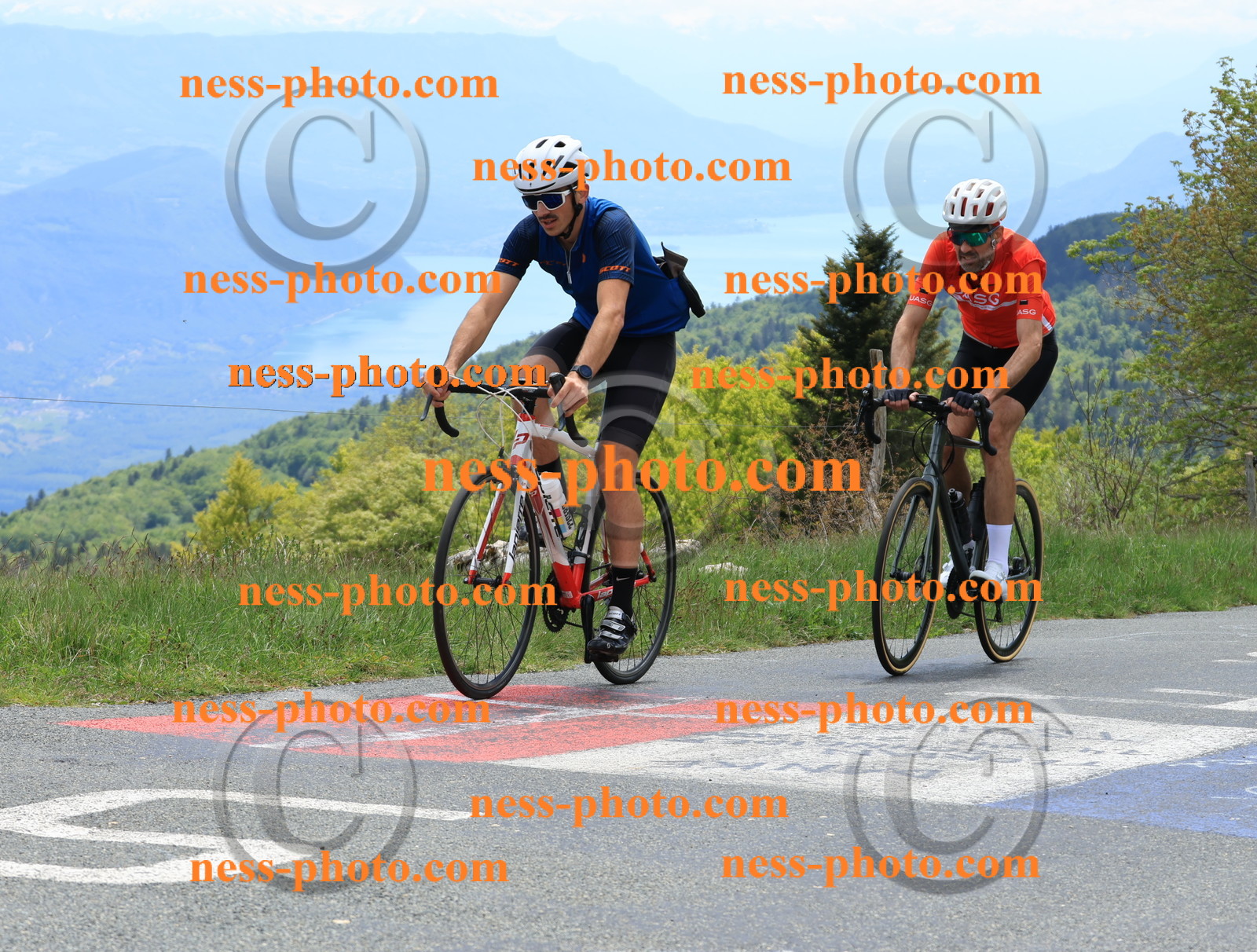 Col du Grand Colombier (482).JPG