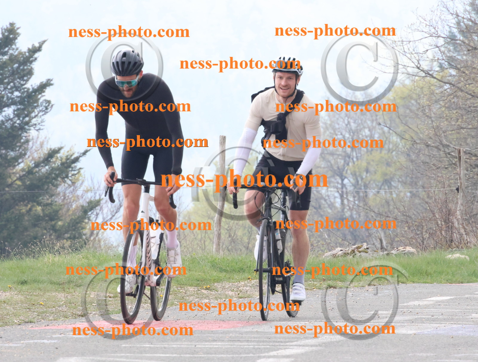 Col du Grand Colombier (136).JPG