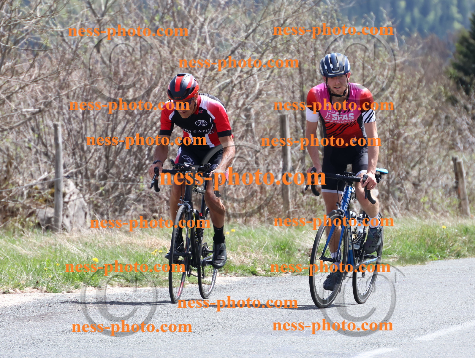 Col du Grand Colombier (895).JPG