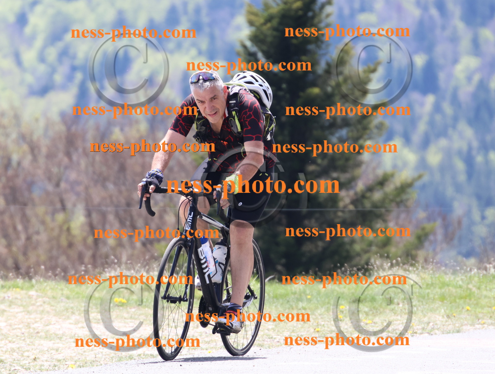 Col du Grand Colombier (453).JPG