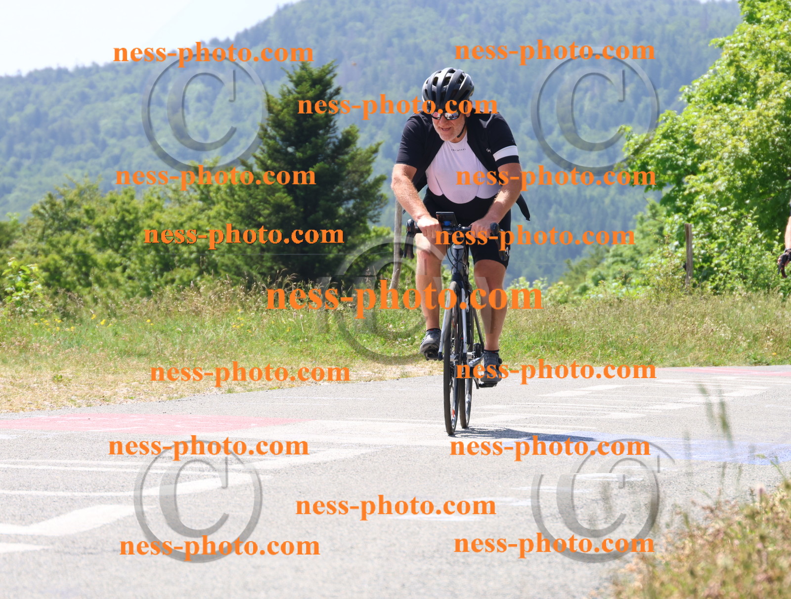 Col du grand Colombier (2460).JPG