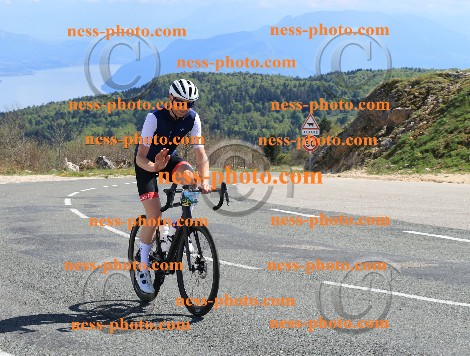 Col du Grand Colombier (3216).JPG