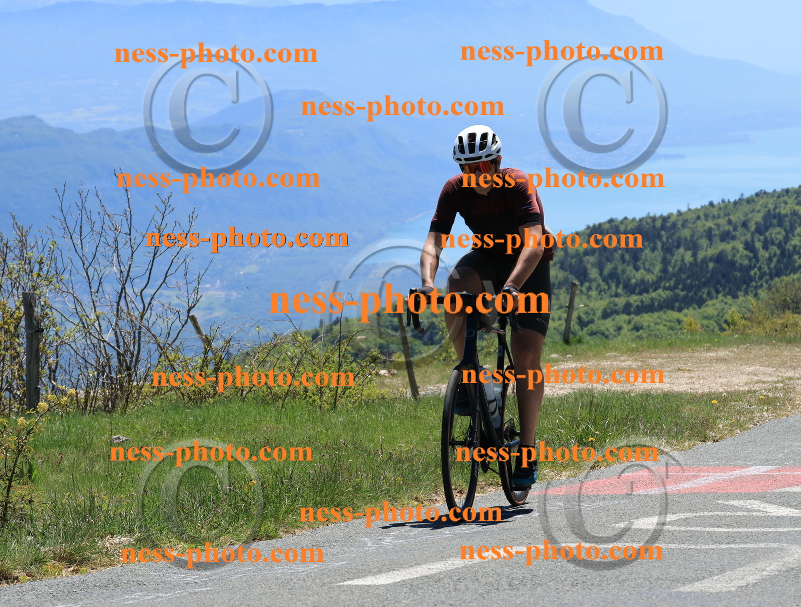 Col du Grand Colombier (353).JPG