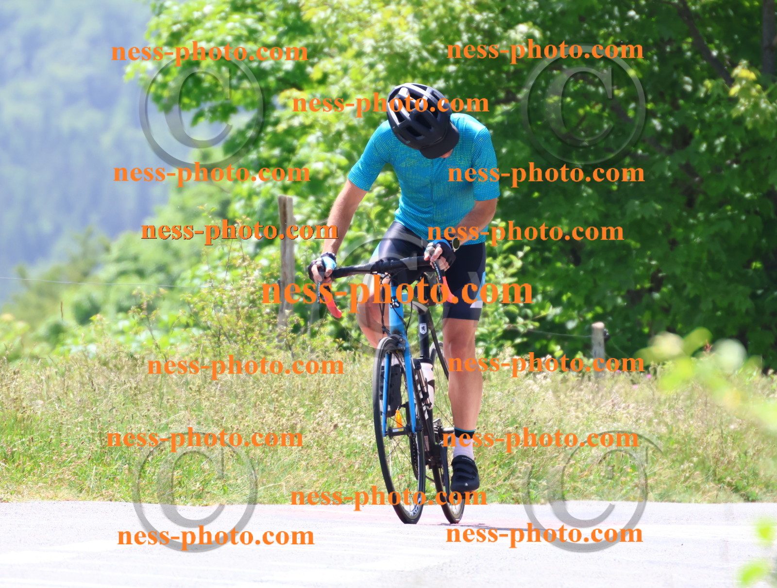 Col du grand Colombier (2686).JPG