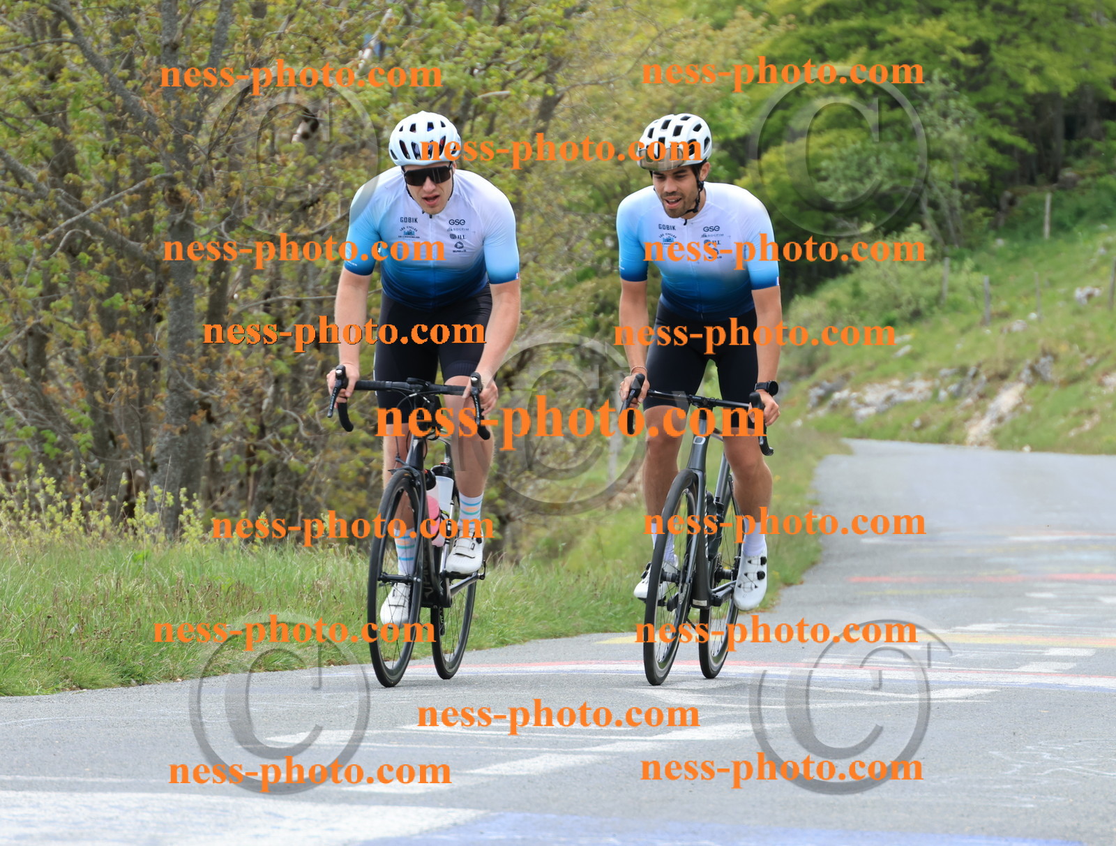 Col du Grand Colombier (469).JPG