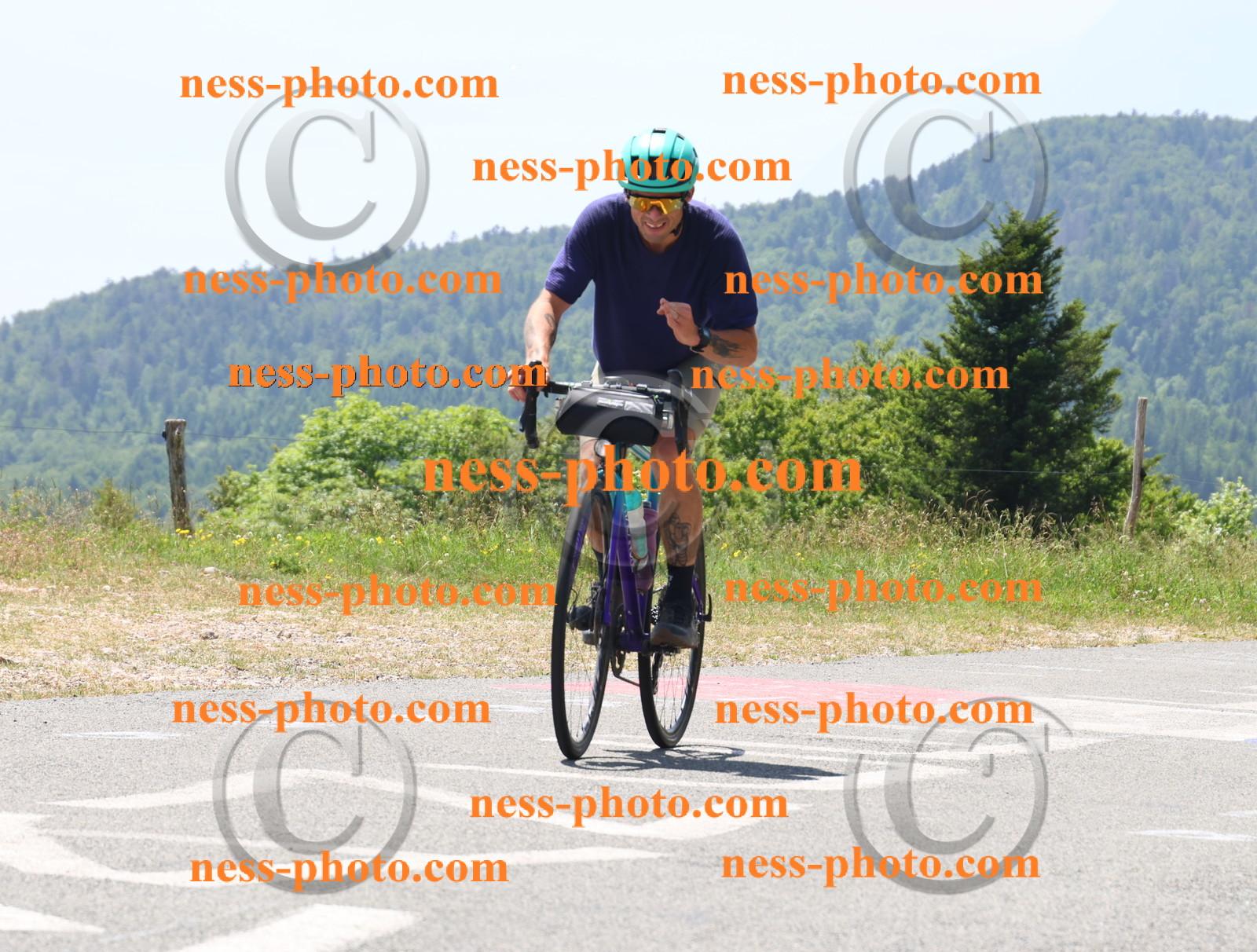 Col du grand Colombier (2561).JPG