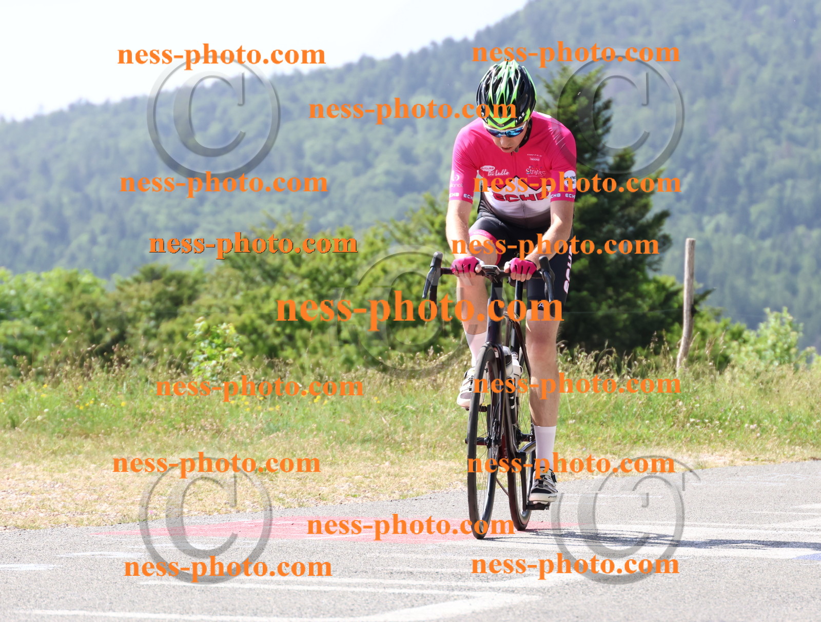 Col du grand Colombier (972).JPG