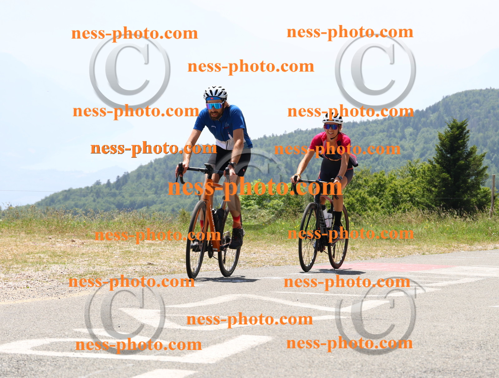 Col du grand Colombier (2795).JPG