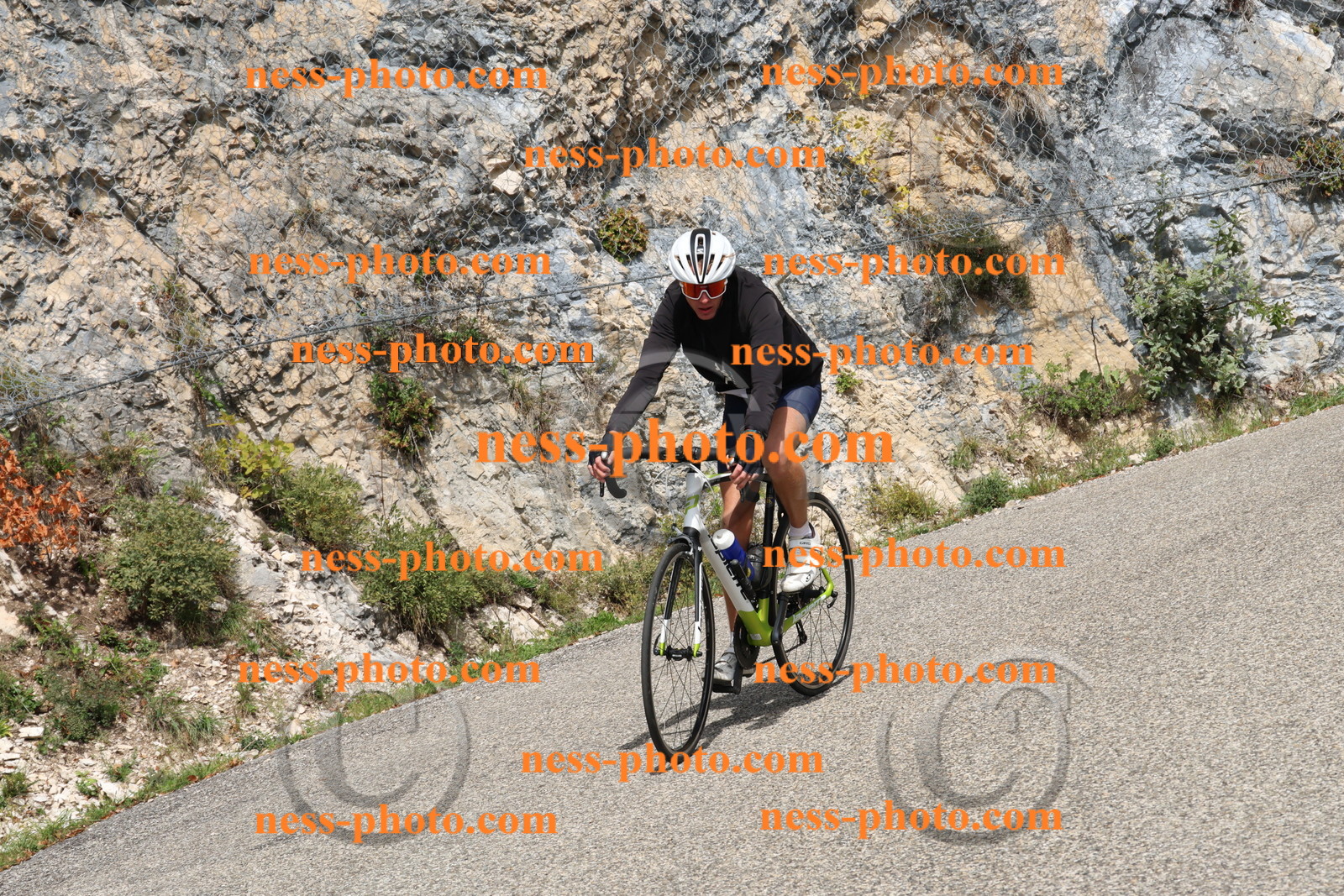 Col du Grand Colombier (590).JPG