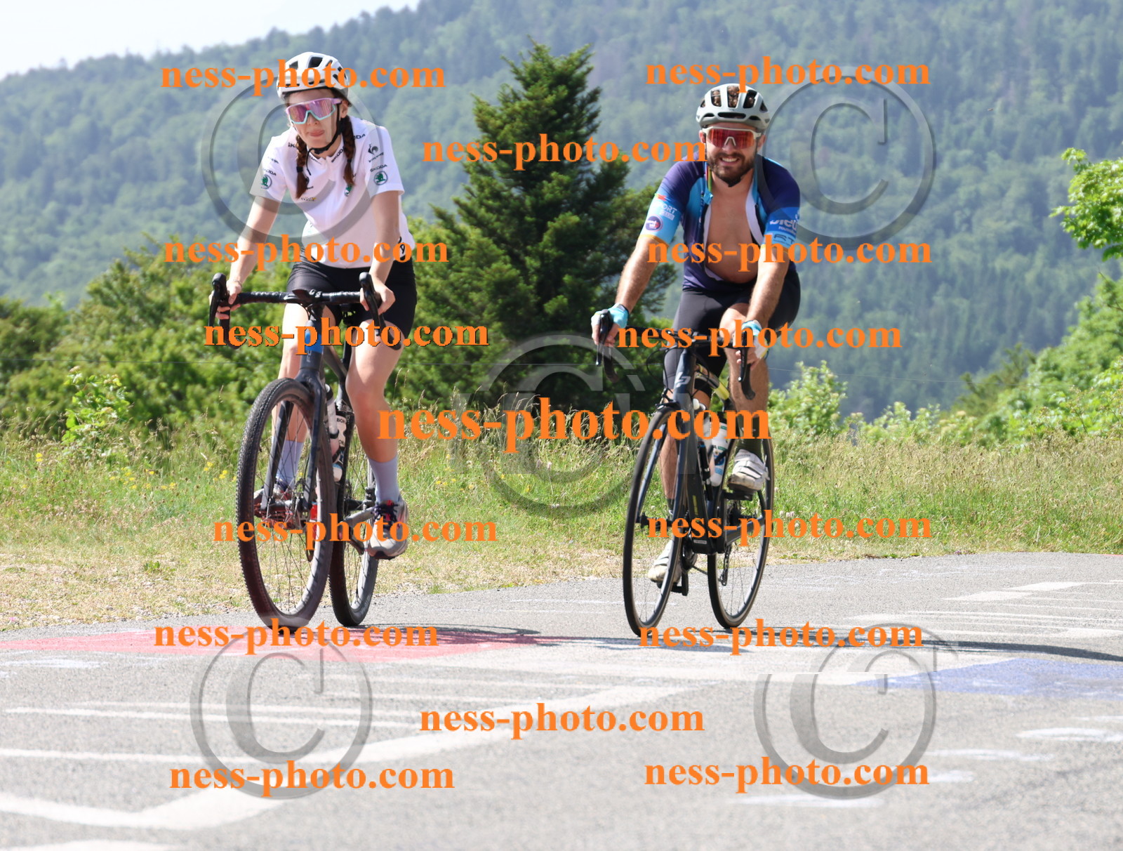 Col du grand Colombier (1119).JPG