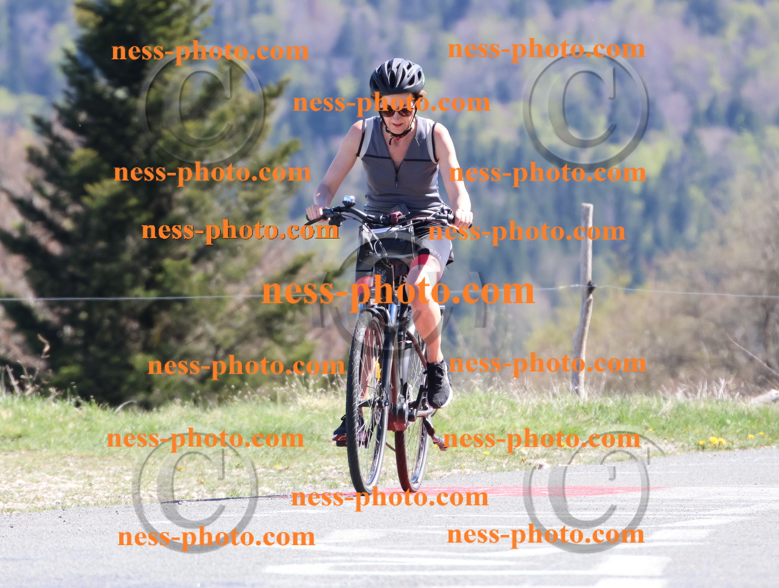 Col du Grand Colombier (1078).JPG