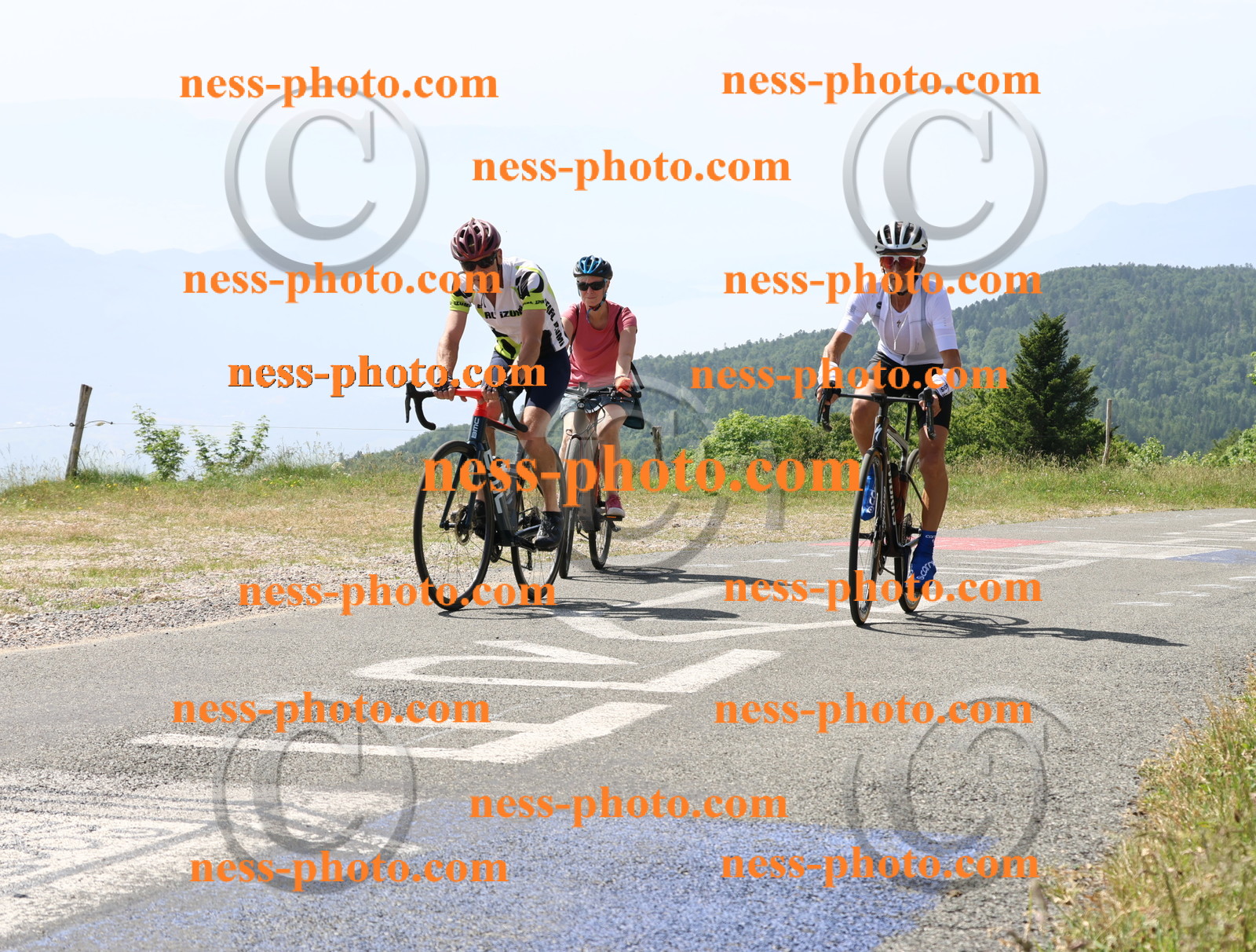 Col du grand Colombier (1304).JPG