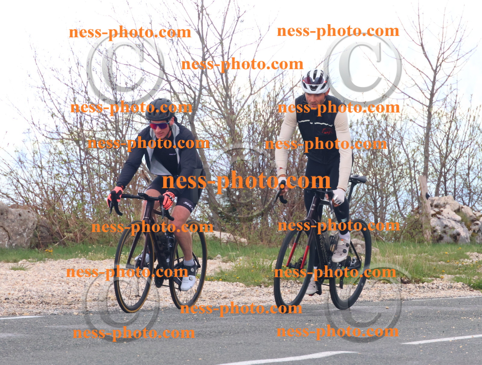 Col du Grand Colombier (218).JPG