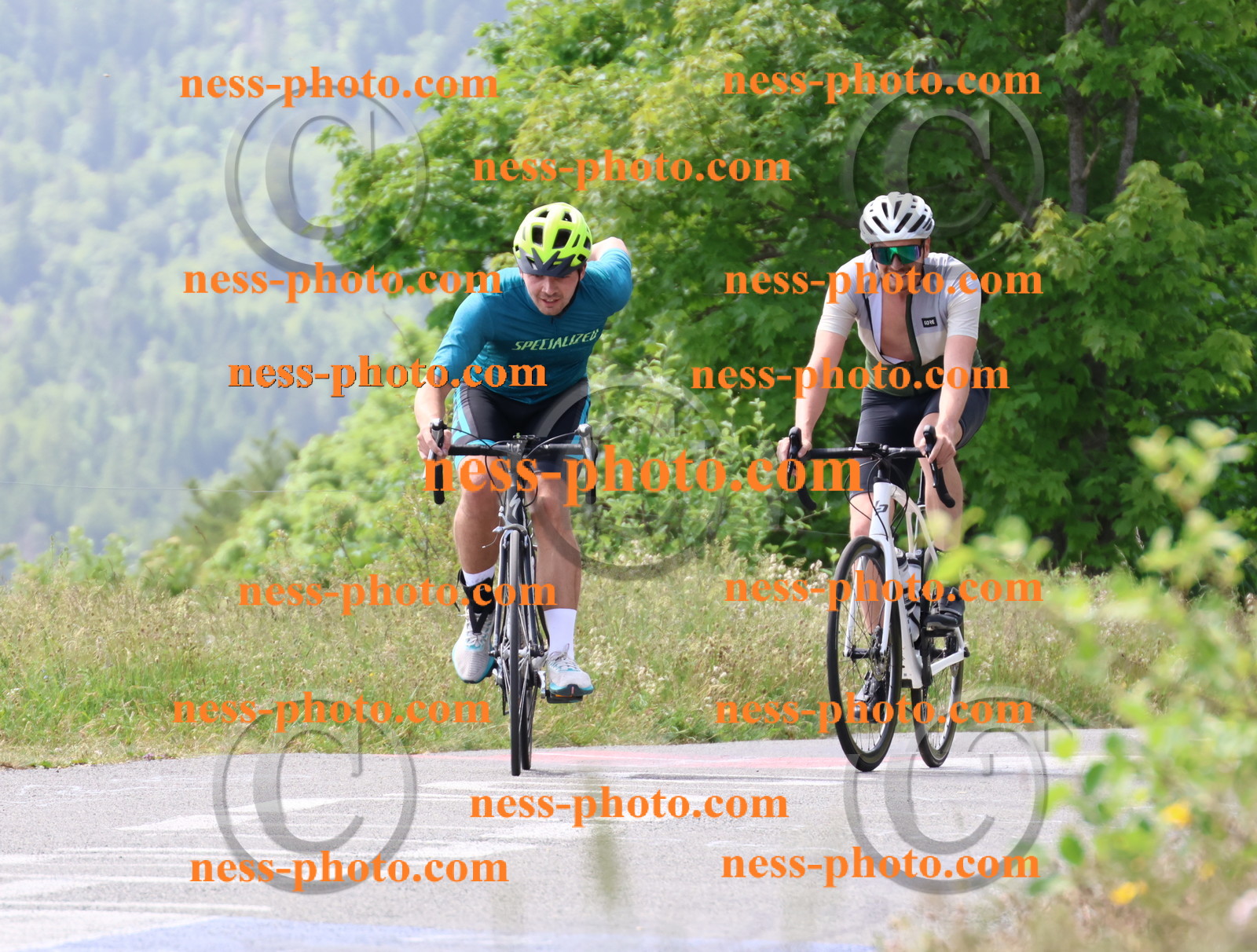 Col du grand Colombier (1775).JPG