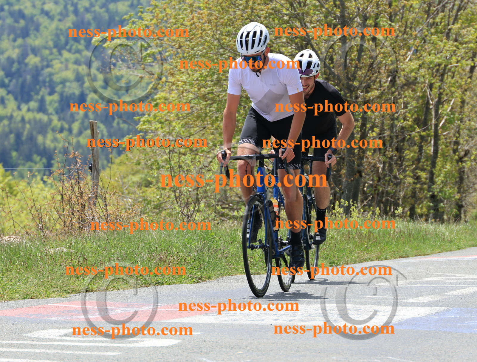 Col du Grand Colombier (345).JPG