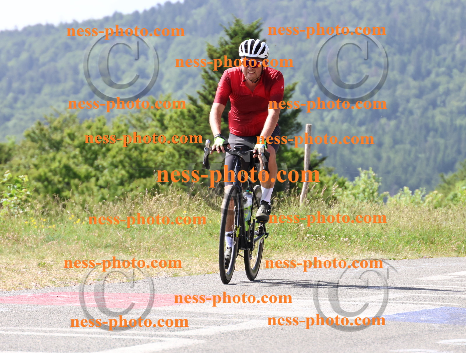 Col du grand Colombier (787).JPG