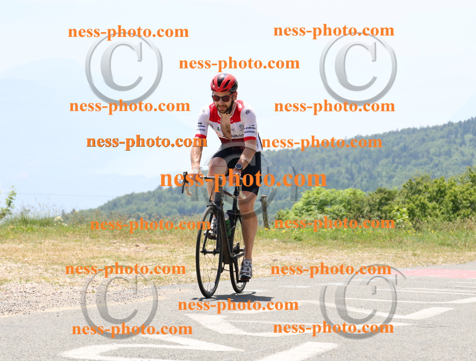 Col du grand Colombier (2747).JPG