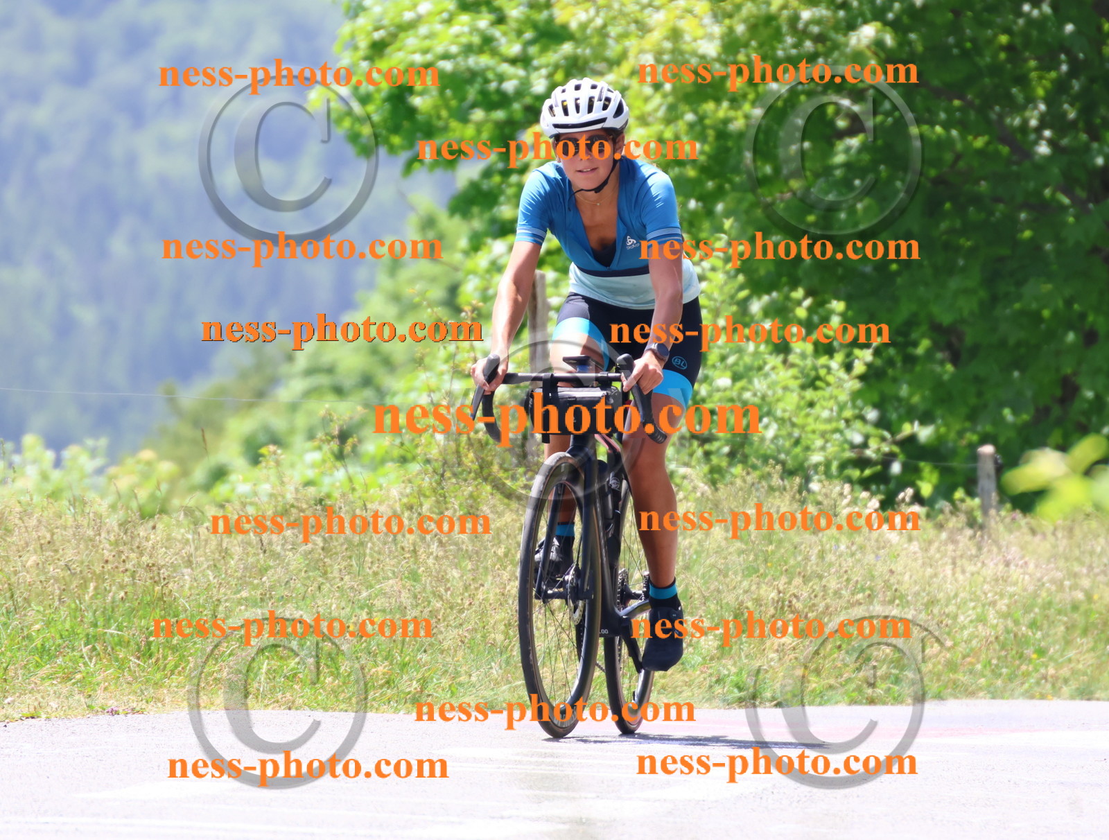 Col du grand Colombier (2541).JPG