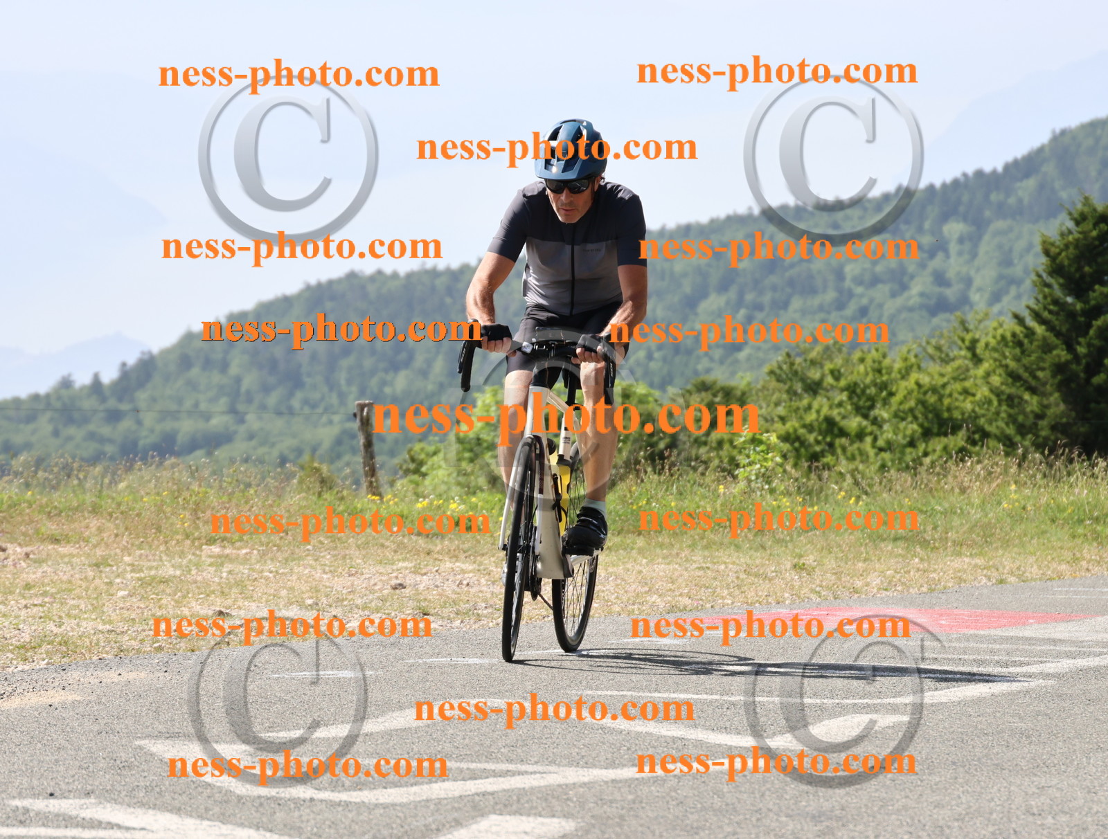 Col du grand Colombier (829).JPG