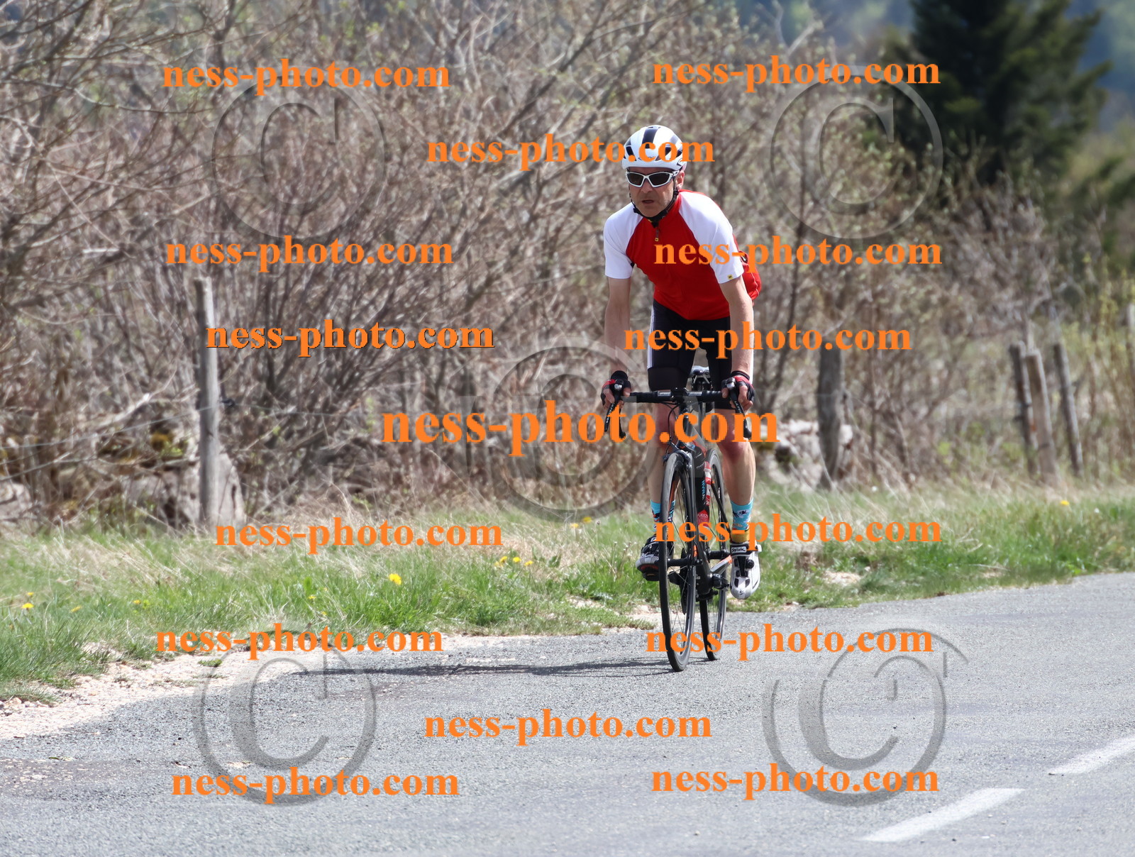 Col du Grand Colombier (974).JPG