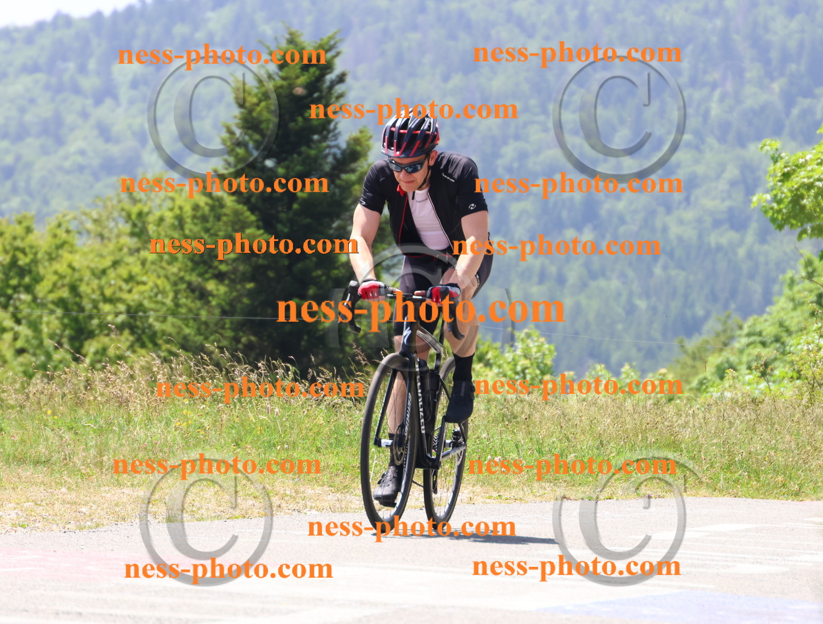 Col du grand Colombier (2608).JPG