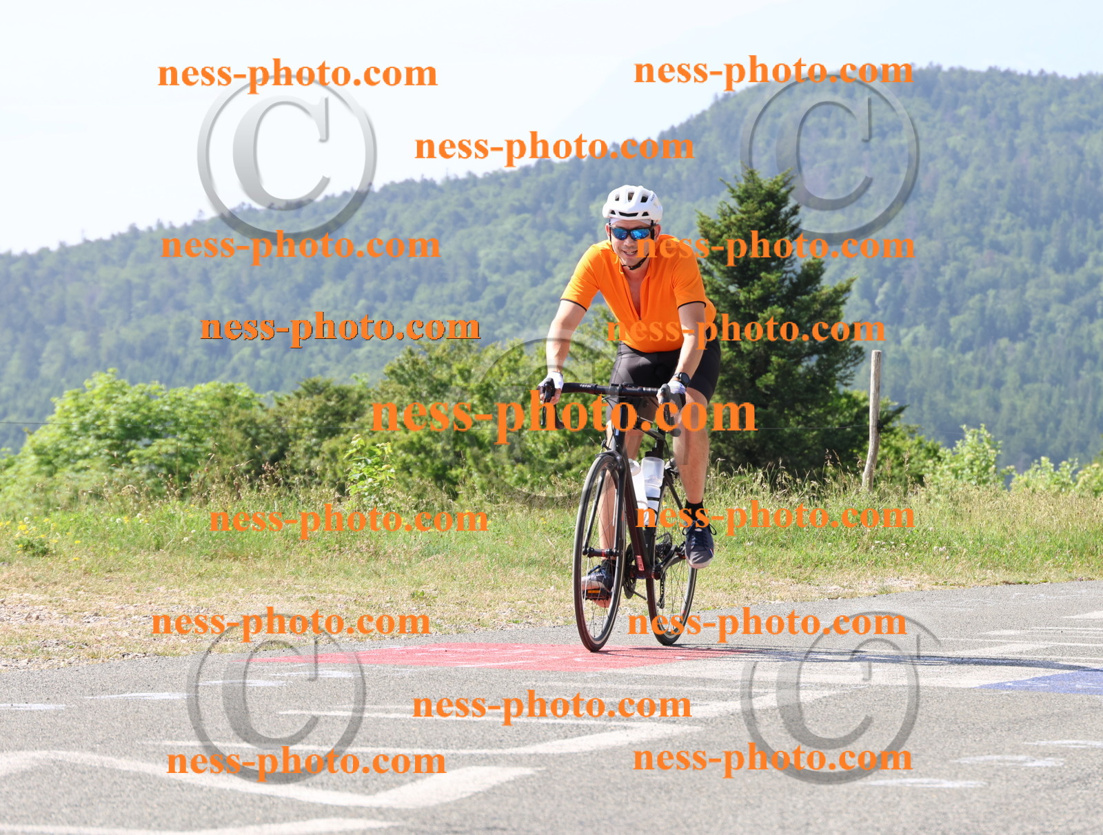 Col du grand Colombier (487).JPG