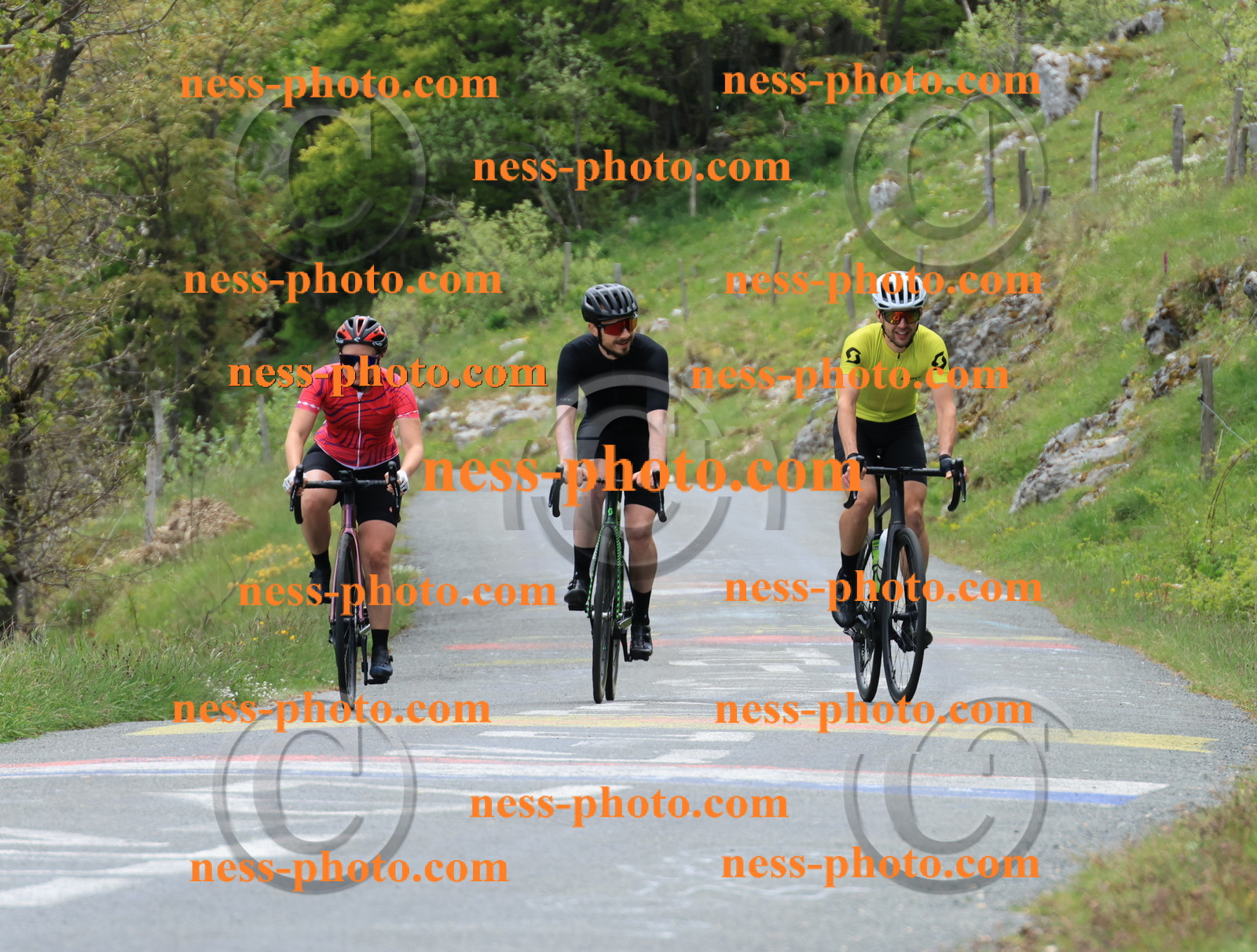 Col du Grand Colombier (442).JPG