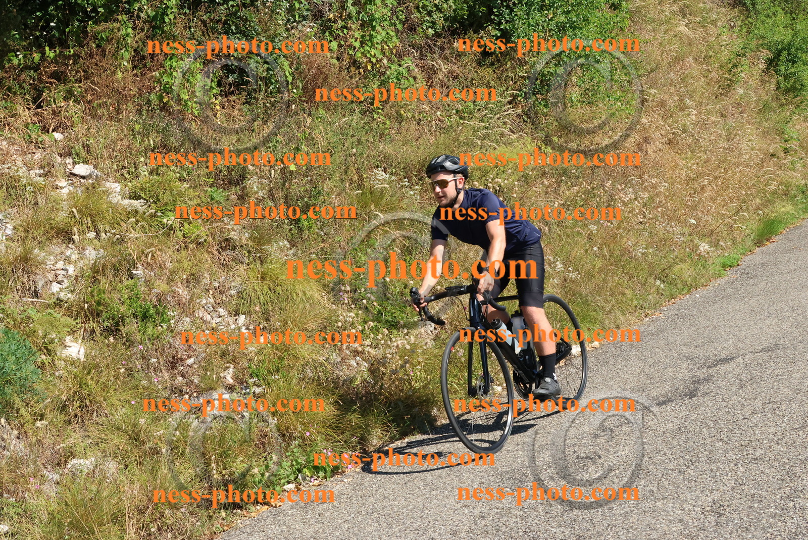 Col du Grand Colombier (182).JPG