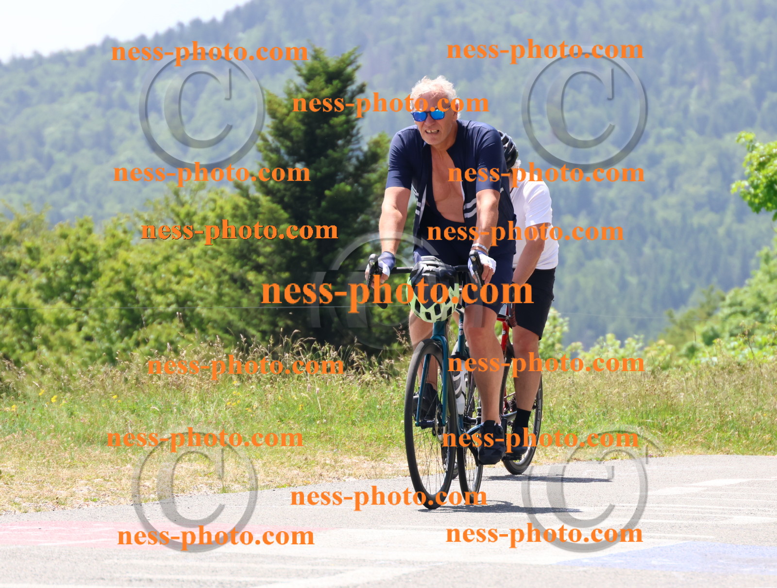 Col du grand Colombier (2645).JPG