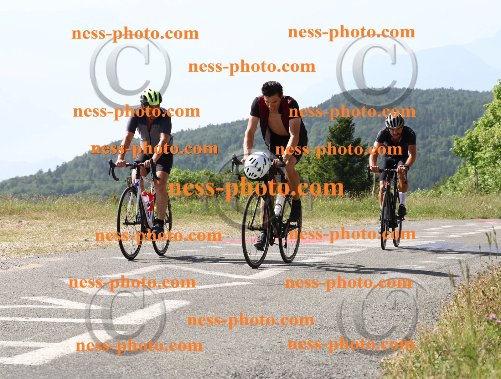 Col du grand Colombier (573).JPG