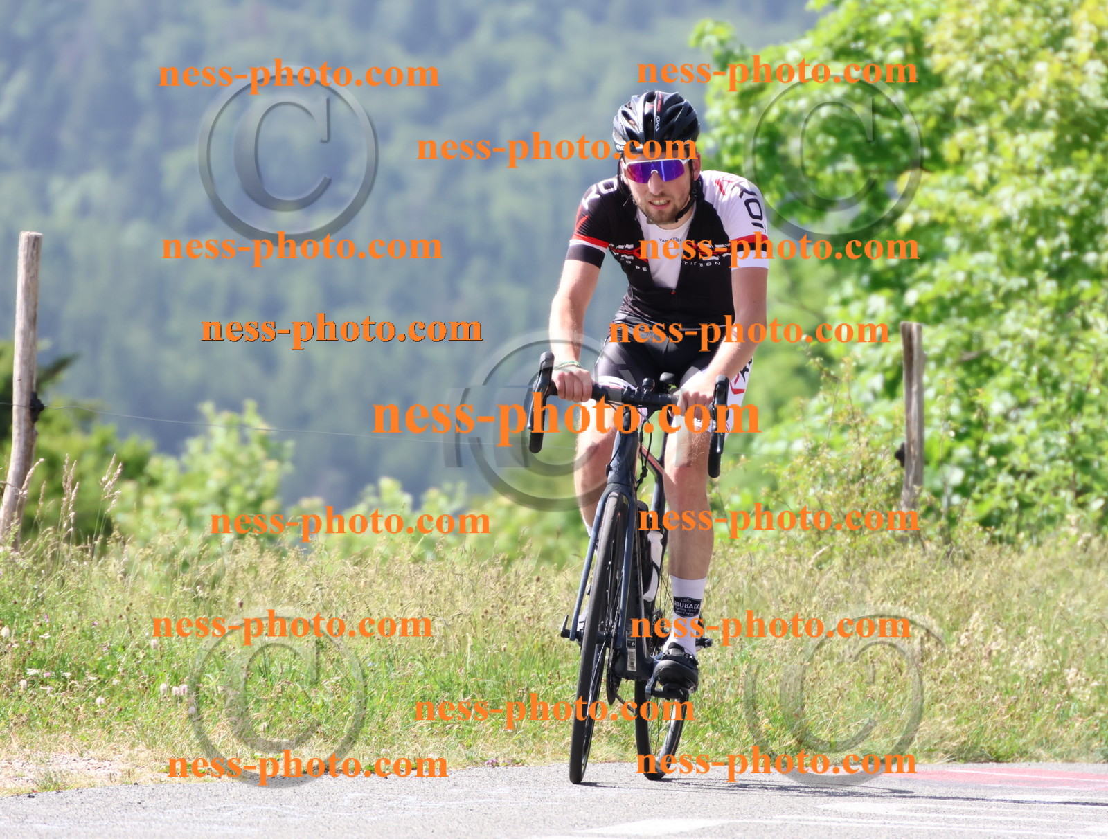 Col du grand Colombier (986).JPG