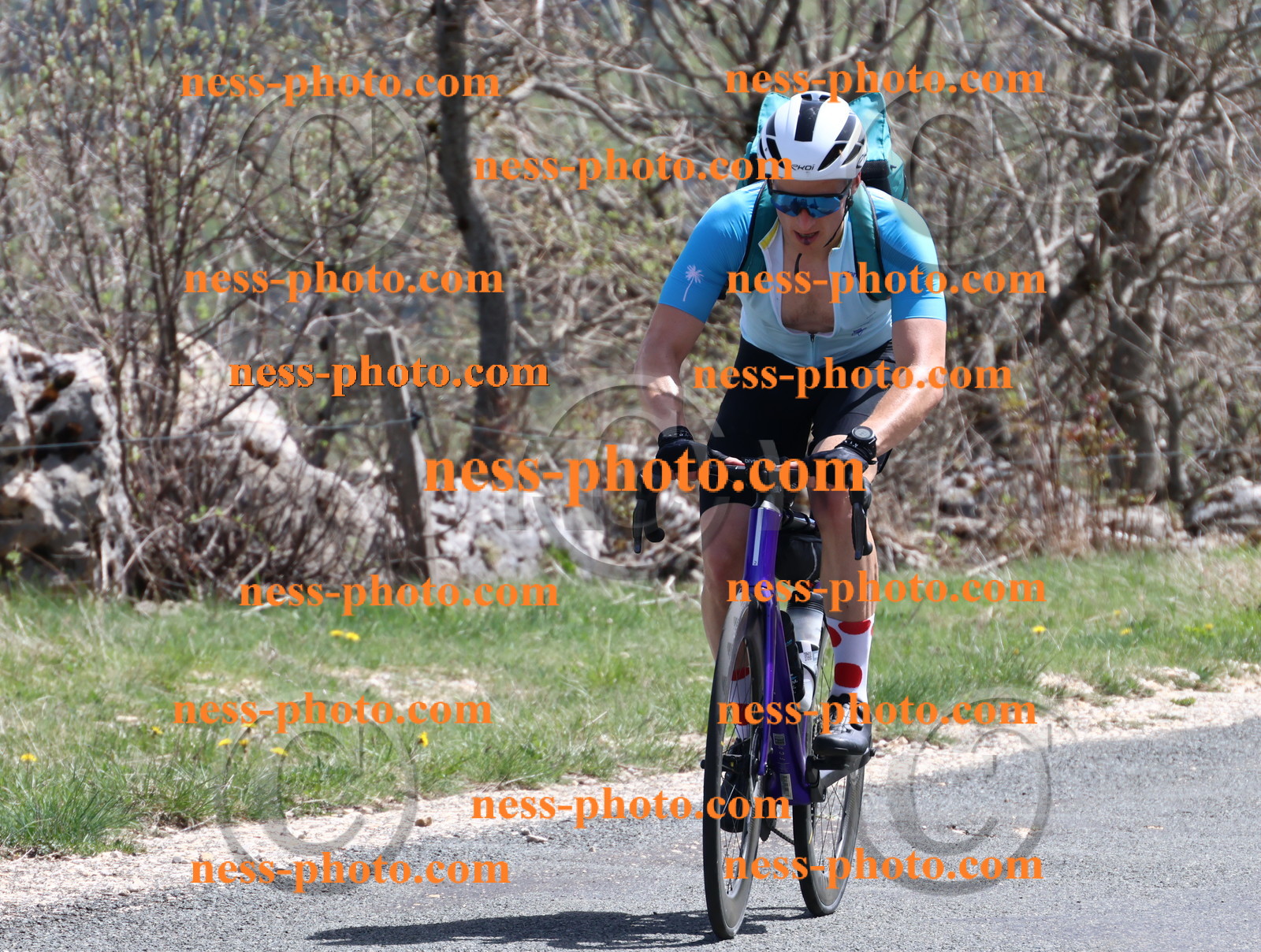 Col du Grand Colombier (887).JPG