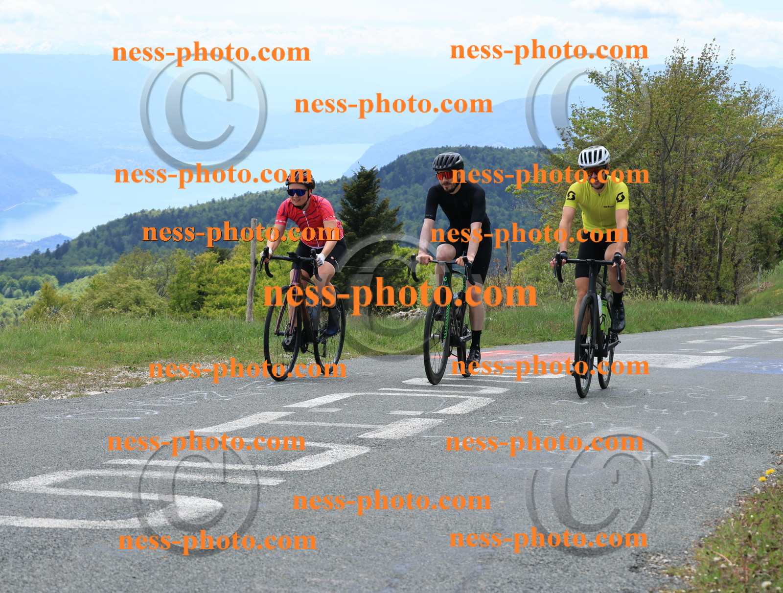 Col du Grand Colombier (450).JPG