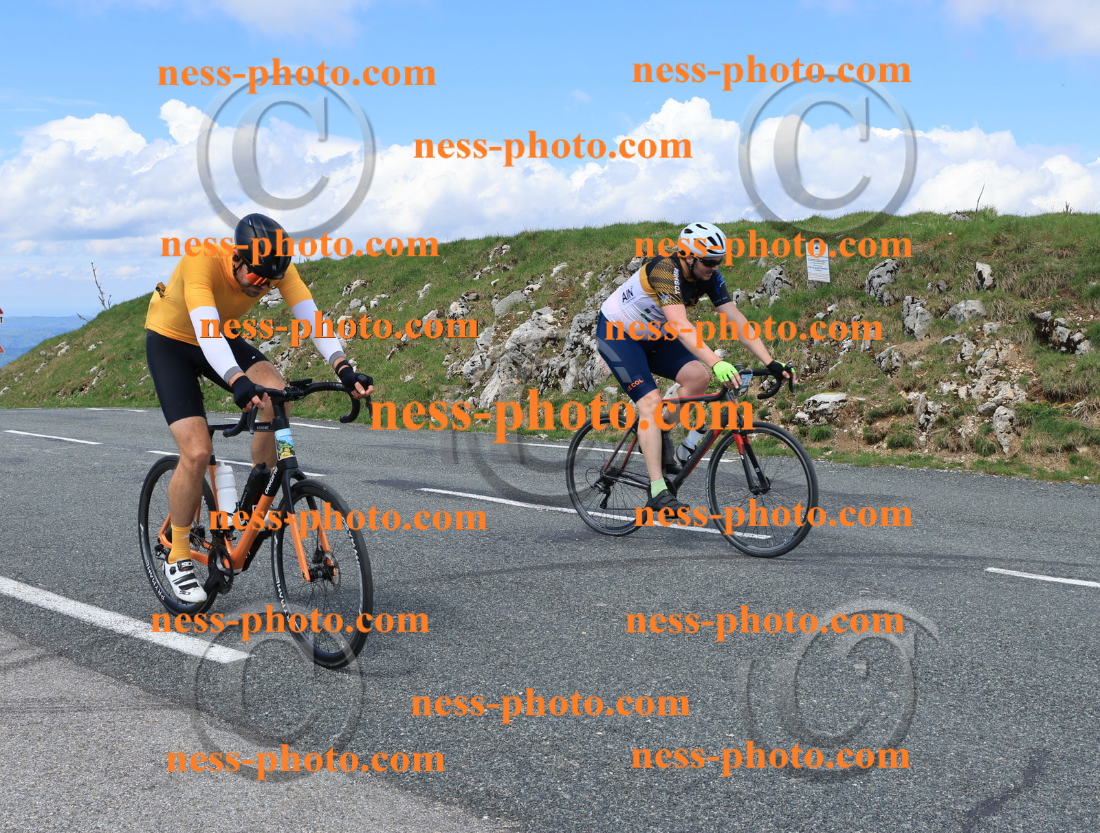 Col du Grand Colombier (2629).JPG