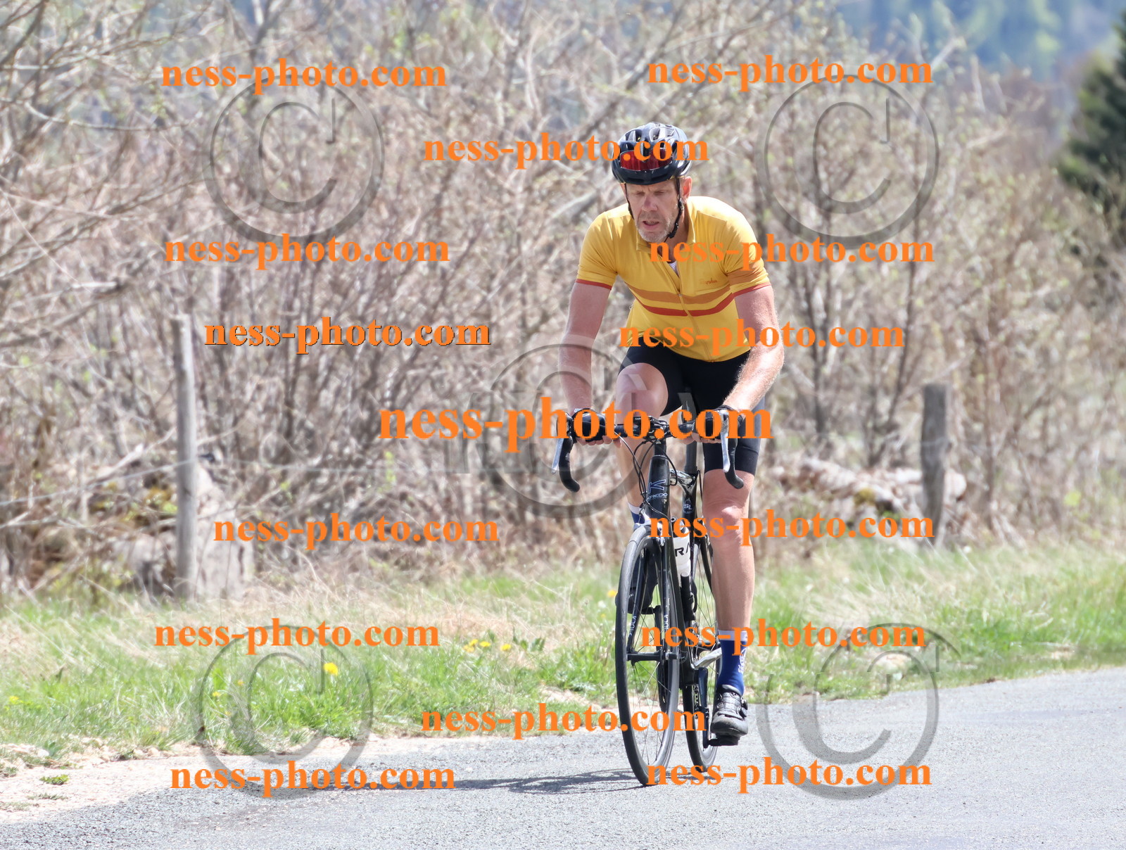 Col du Grand Colombier (908).JPG