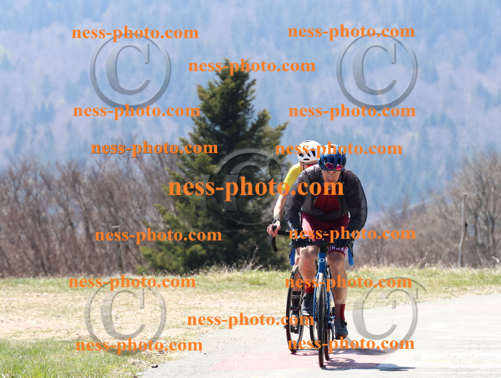 Col du Grand Colombier (173).JPG