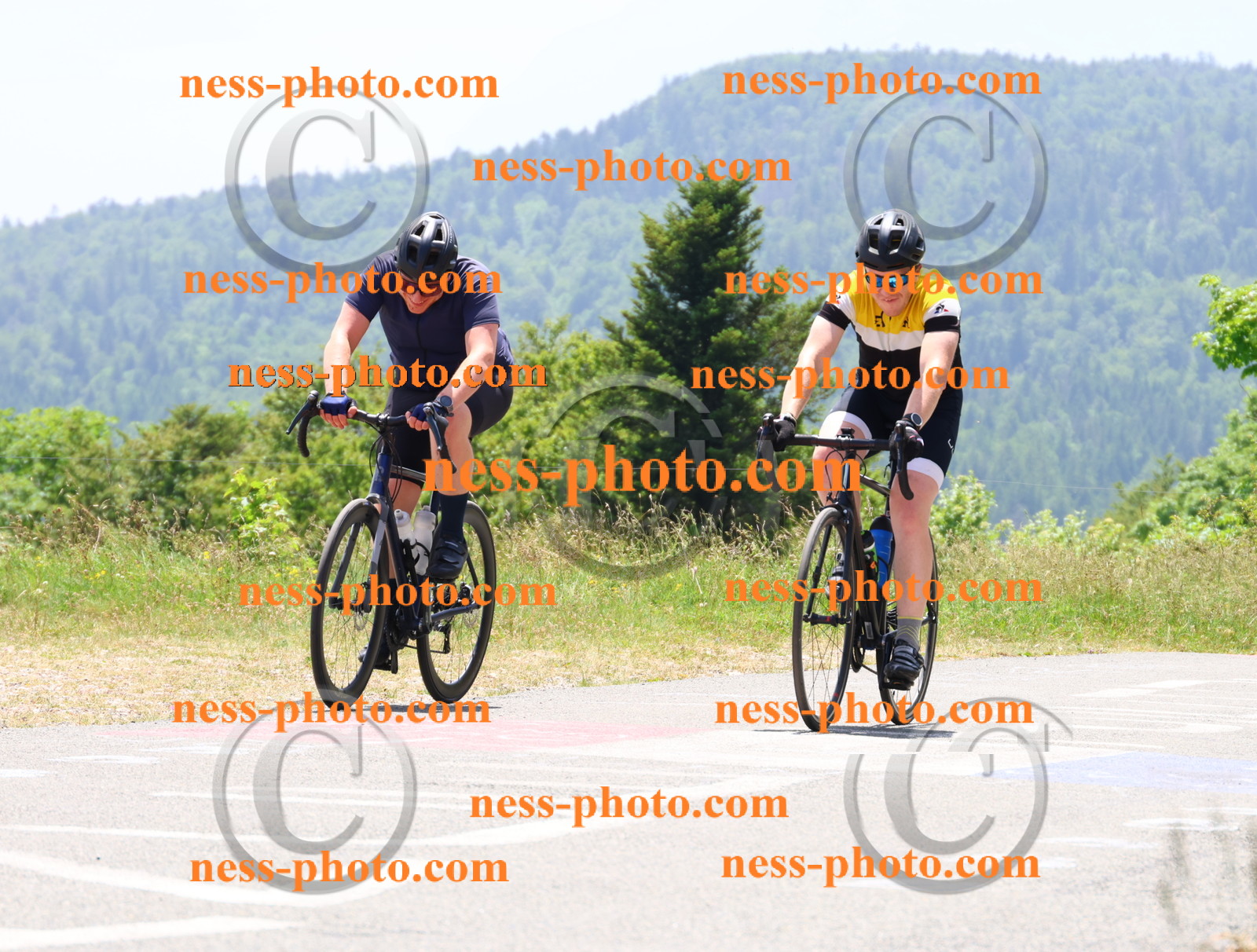 Col du grand Colombier (2951).JPG