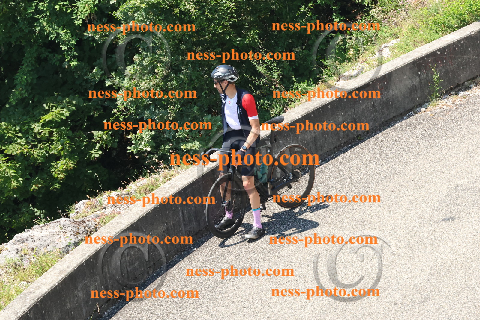 Col du Grand Colombier (491).JPG