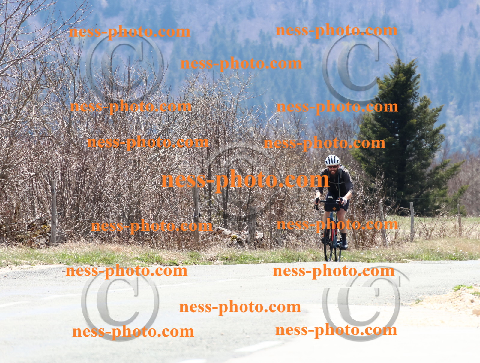 Col du Grand Colombier (322).JPG